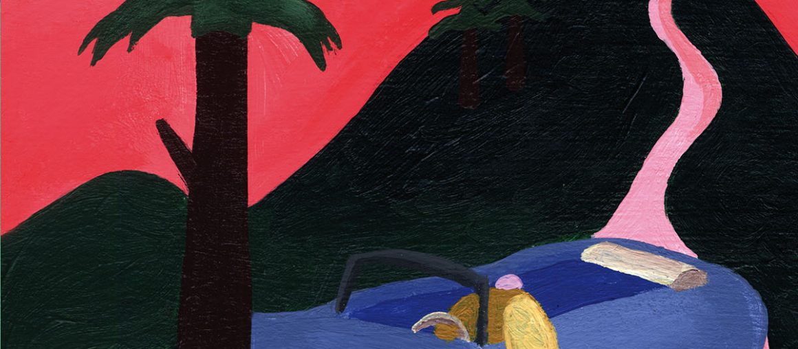 New Talent: Jill Senft