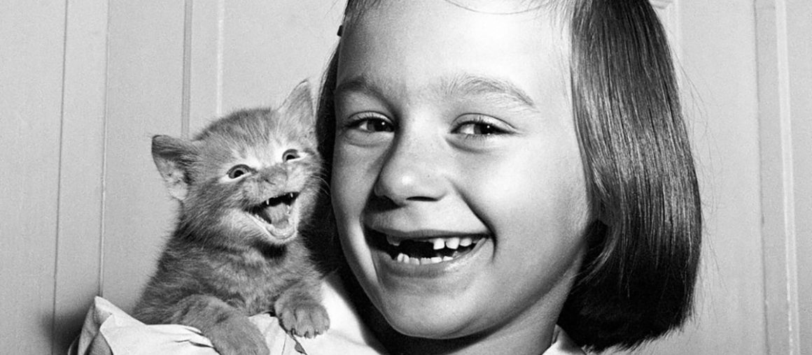 Paw-trait master: The archive of cat photographer Walter Chandoha
