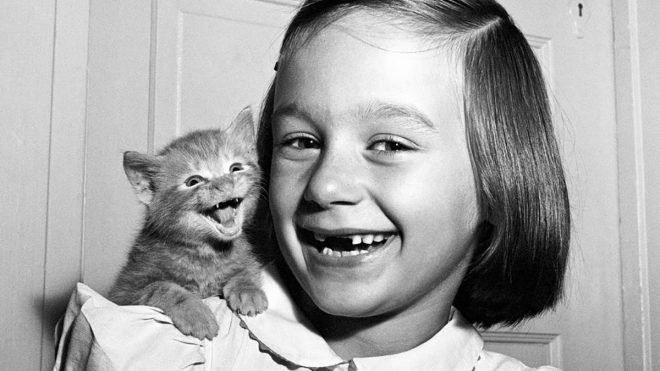 Paw-trait master: The archive of cat photographer Walter Chandoha