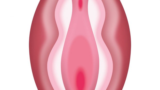 Is it time for the world’s first vulva emoji? Elvie thinks so