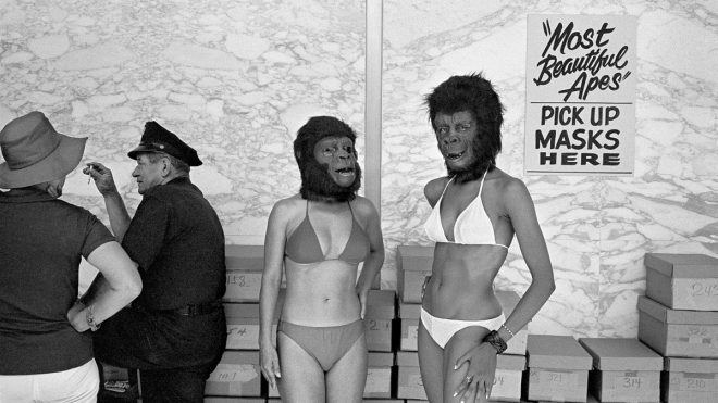 Michael Jang monograph offers a joyous snapshot of 1970s California
