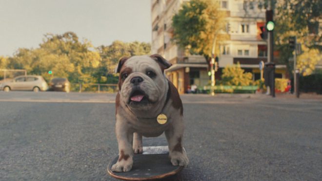 Churchill’s nodding bulldog mascot has been given a CGI makeover
