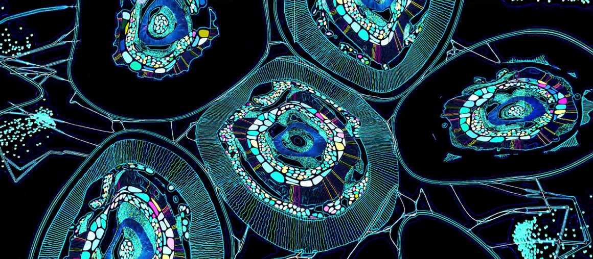 The art of Max Cooper