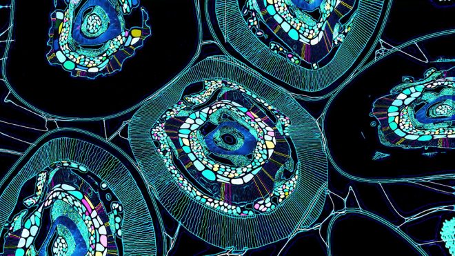 The art of Max Cooper