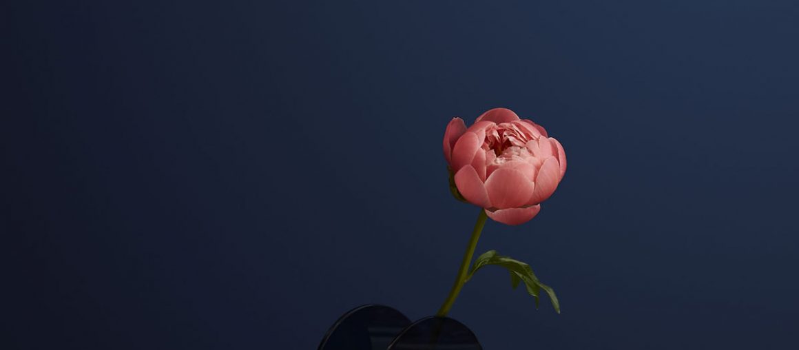 On Brief: Charlotte May x Freddie’s Flowers