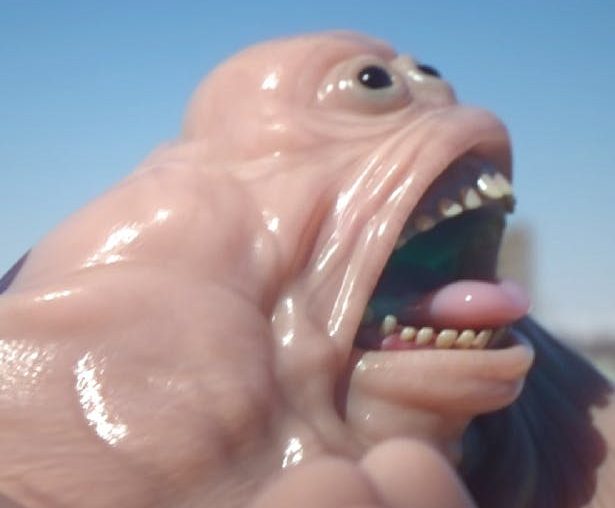 Meat Dept’s CG music video is a glitchy, fleshy trip