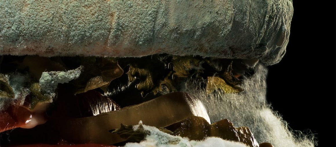 Burger King is serving up spores in a mouldy new ad