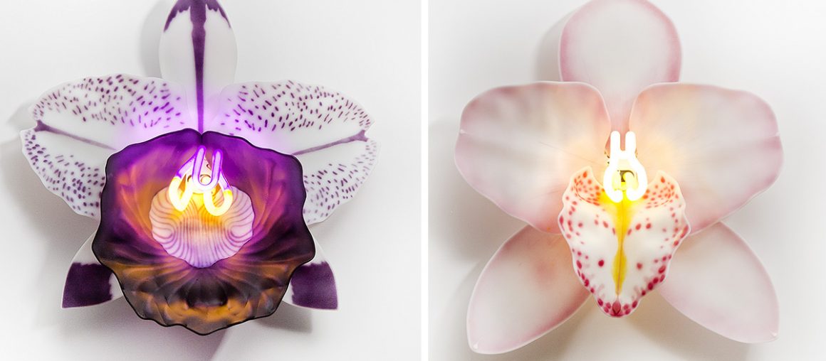 Neon-Illuminated Glass Orchids by Laura Hart Consider the Flowers' Fragility and Resiliency