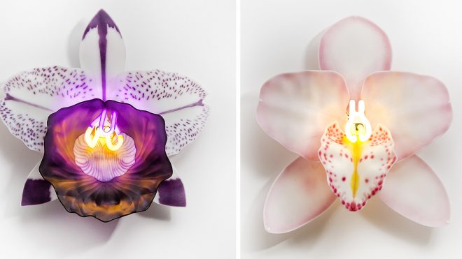 Neon-Illuminated Glass Orchids by Laura Hart Consider the Flowers' Fragility and Resiliency