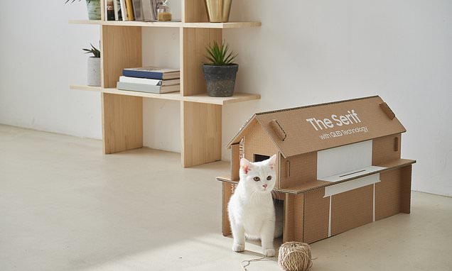 Samsung TV boxes will now be able to be converted into cat towers