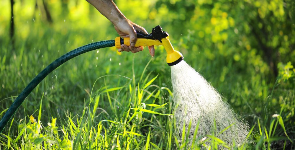 Get the Best Lawn on the Block With the Best Garden Hoses of 2020