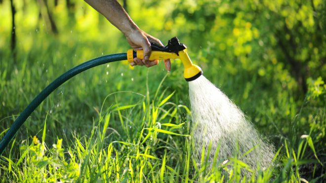 Get the Best Lawn on the Block With the Best Garden Hoses of 2020
