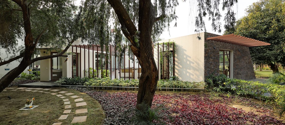 The House of Greens / Intrigue Studio + Lab