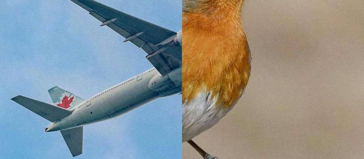 Anthony Burrill and Erik Kessels pay tribute to the sounds of the sky