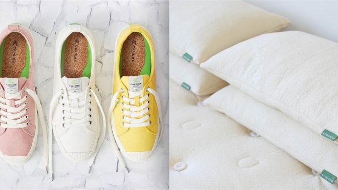 Ready to go green? You'll love these bestselling and top-rated products