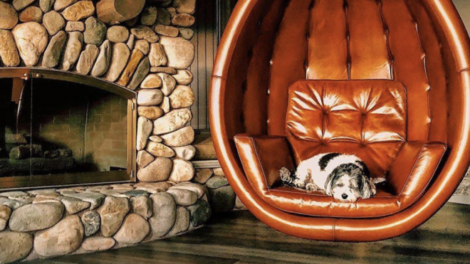 Swing Into Relaxation With These 13 Gorgeous Hanging Egg Chairs