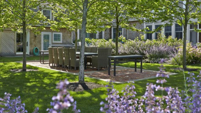 Hollander Offers Quick Tips for At Home Landscape Care - 27 East
