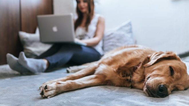 12 career development skills you can master over the weekend