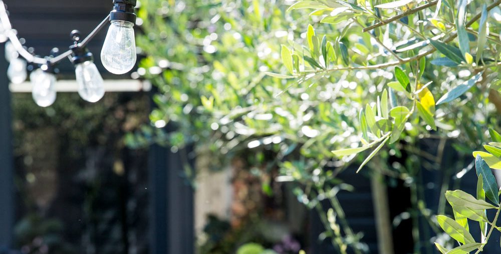 Best garden solar lights to illuminate your outdoor space – including LED bulbs, springs and stake lights