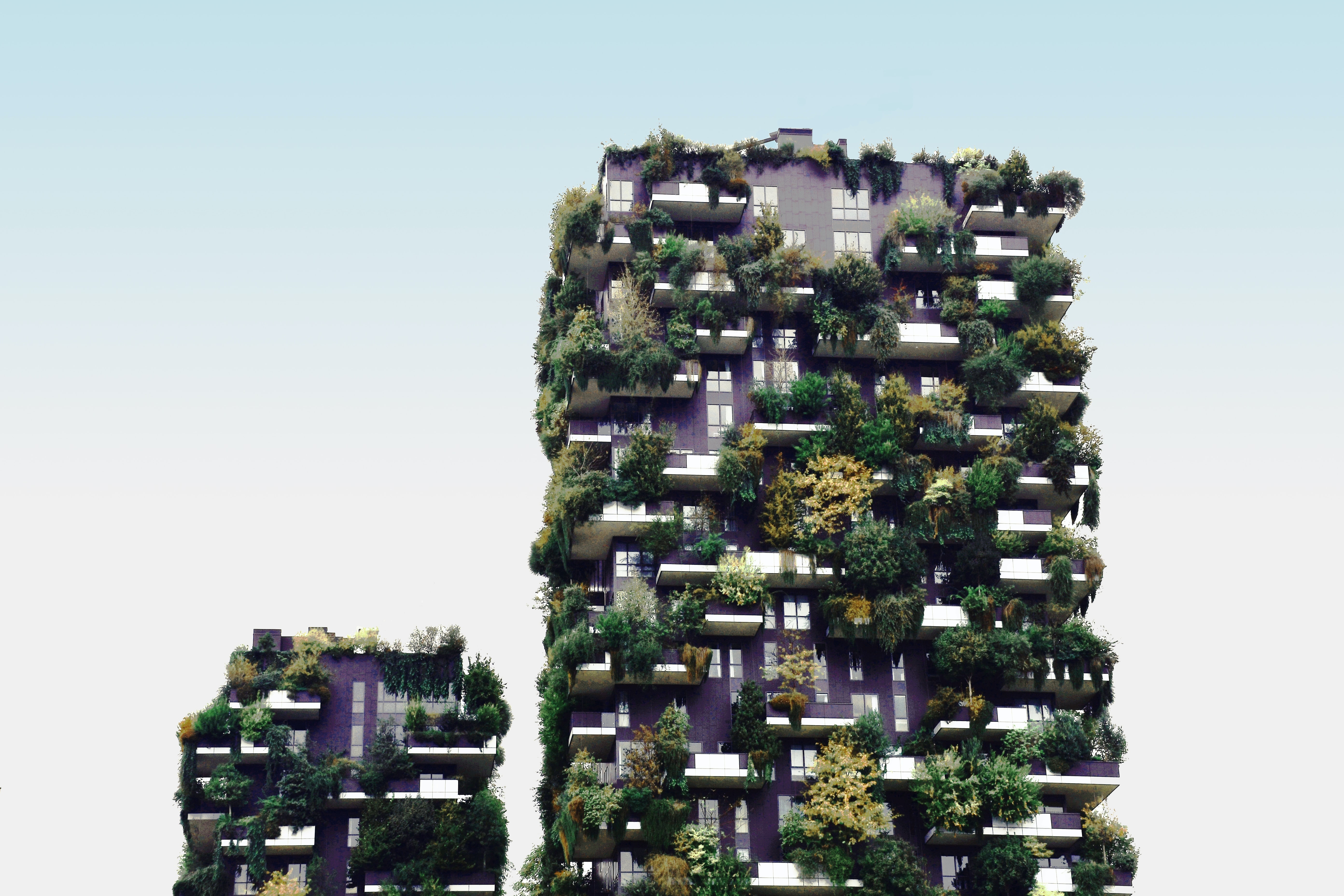 Coronavirus: we're in a real-time laboratory of a more sustainable urban future