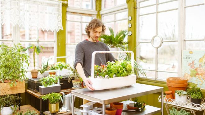 Click and Grow Smart Herb Garden Review - The Best Self Watering Pots