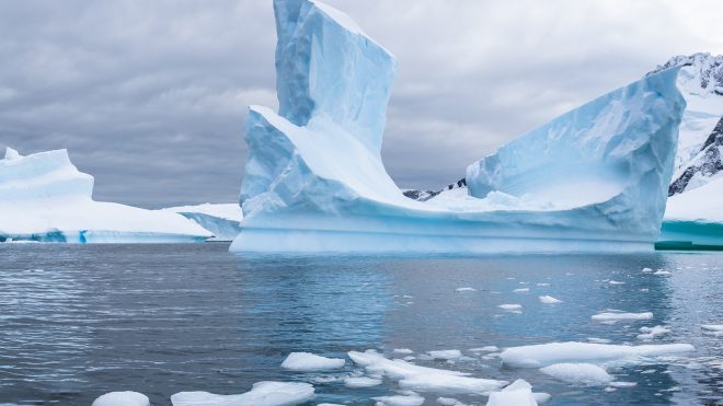 Virtual bucket-list tours to enjoy from home from African safari to Antarctica