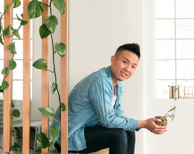 Hunker Down With Plant Whisperer Ron Goh of Mr. Cigar Loft in His Urban JungleHunker Down With Plant Whisperer Ron Goh of Mr. Cigar Loft in His Urban Jungle | Hunker