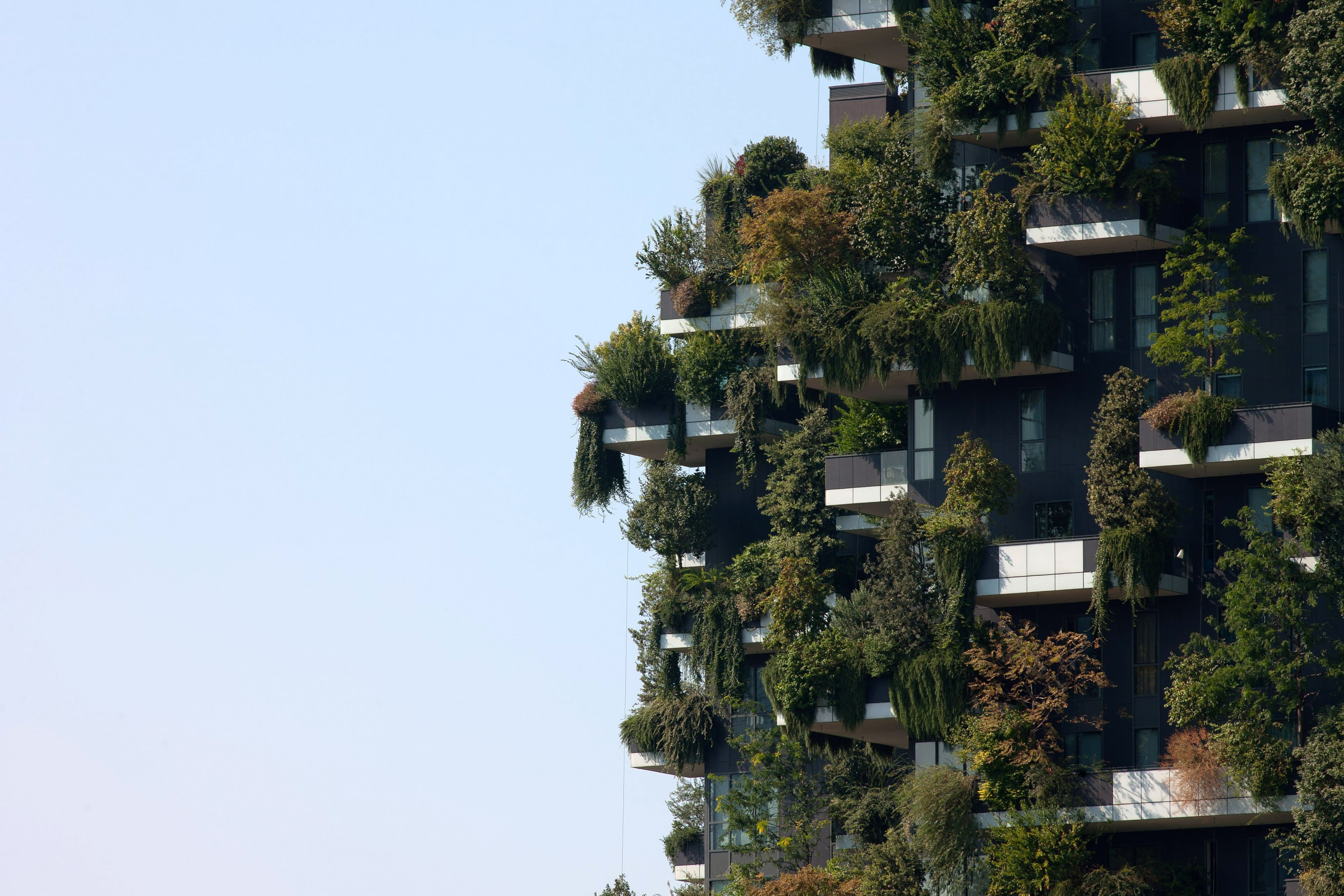 In Milan, tall buildings covered in trees offer a glimpse of how urban living could look in the future