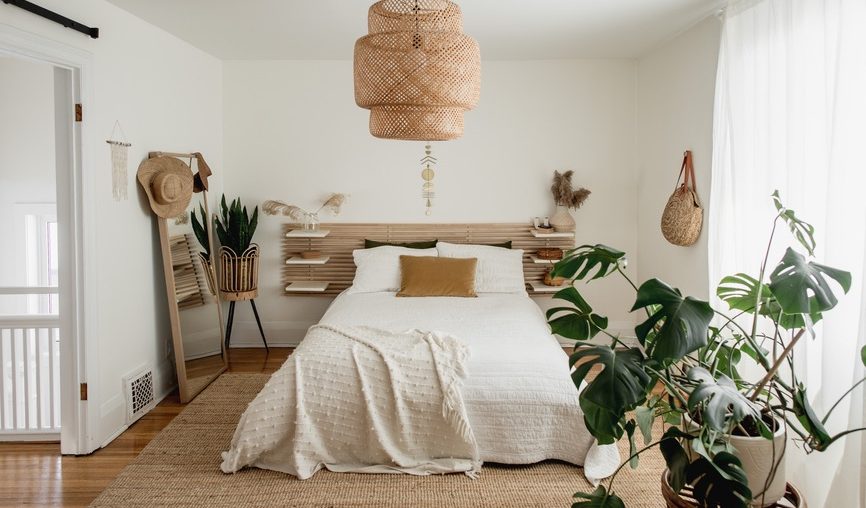 The best bedroom plants to make your space feel like an oasis