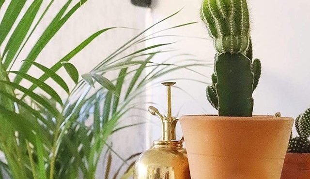 14 Gardening Tools and Accessories Every Budding Gardener Needs | Hunker