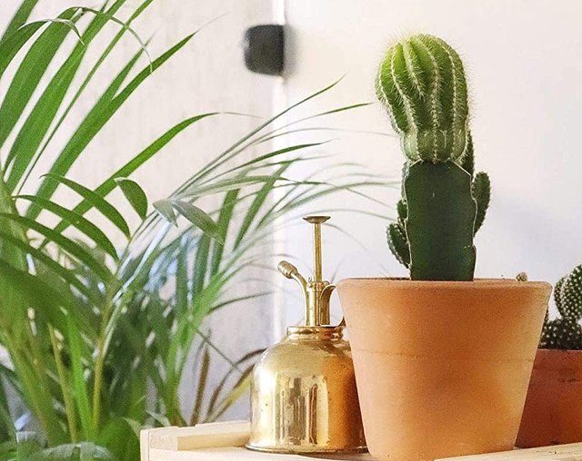 14 Gardening Tools and Accessories Every Budding Gardener Needs | Hunker