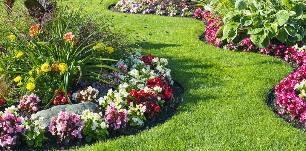 SPRING IN THE GARDEN: Having fun with garden design - Comox Valley Record