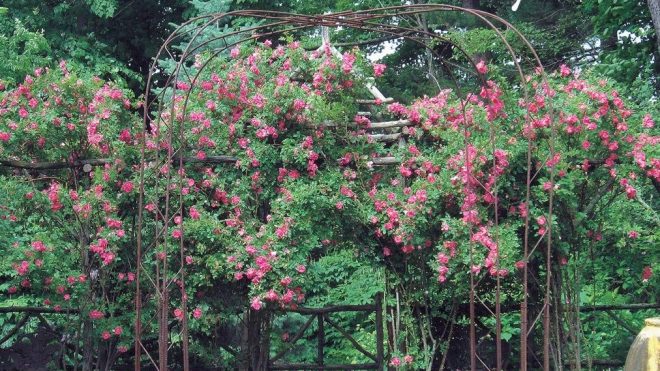 Eight Books to Read for Instant Garden Inspiration