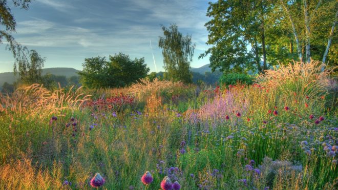 Piet Oudolf’s advise on garden design and creating inspirational outside spaces