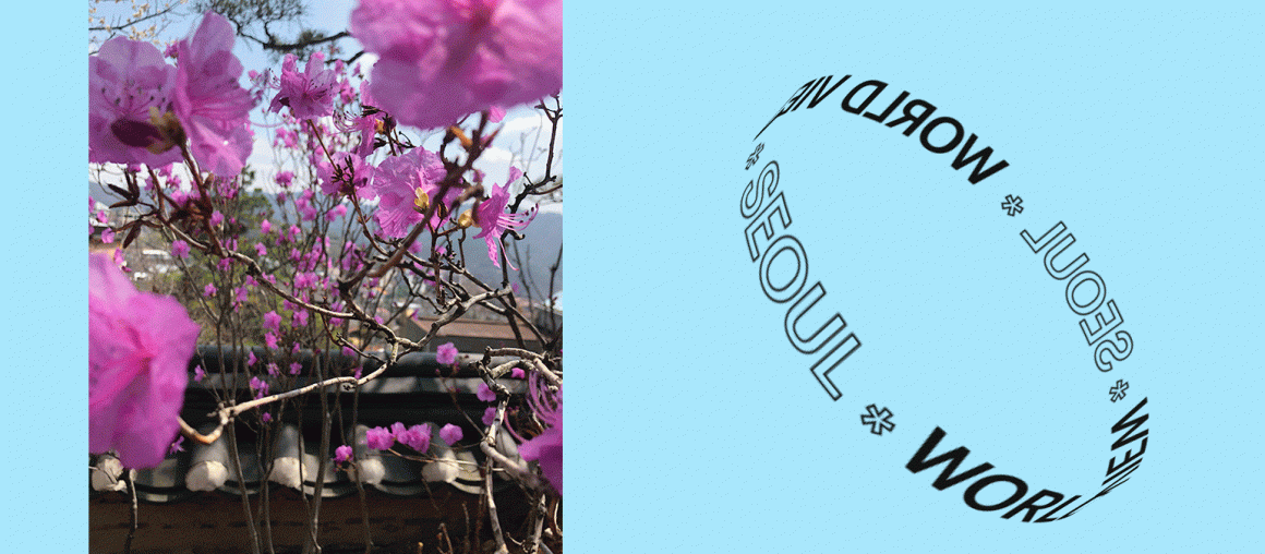 World View: Letter from Seoul