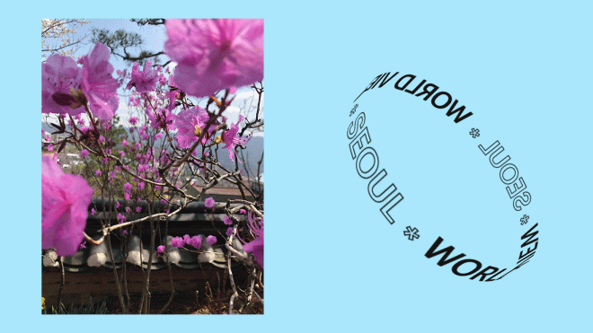 World View: Letter from Seoul