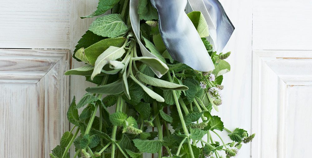 Improve your health, wellbeing and happiness with healthy plants