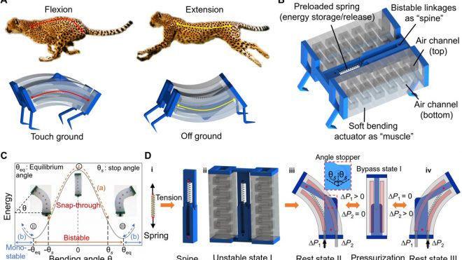 Leveraging elastic instabilities for amplified performance: Spine-inspired high-speed and high-force soft robots