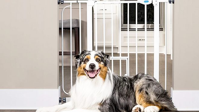 Keep Your Furry Friends Secure With These Pet Safety Gates