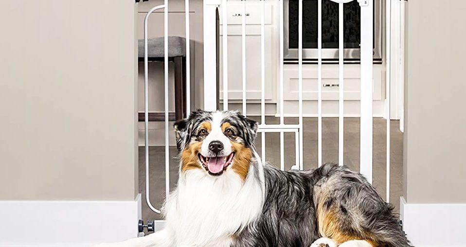 Keep Your Furry Friends Secure With These Pet Safety Gates