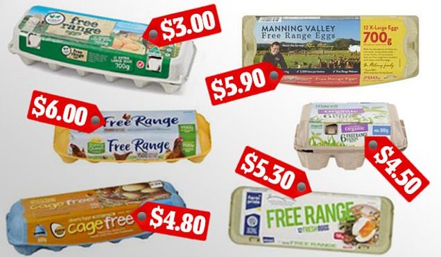 Shoppers vote for the best eggs based on taste, freshness and value