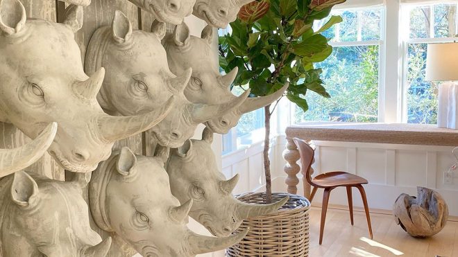 How to Design With an Elephant in the Room—Literally