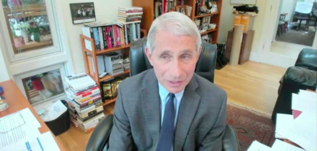 Dr. Anthony Fauci's Home Office Gets Some Serious Attention During Virtual Senate Hearing