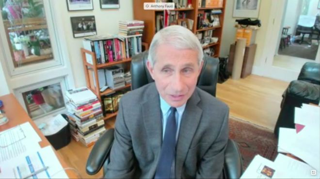 Dr. Anthony Fauci's Home Office Gets Some Serious Attention During Virtual Senate Hearing