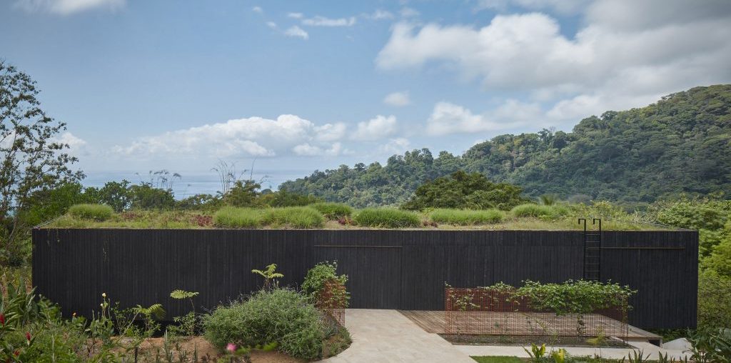 Green roof and charred wood blend Atelier Villa into Costa Rican jungle