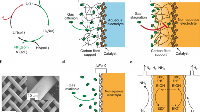 Electrode design for ammonia synthesis