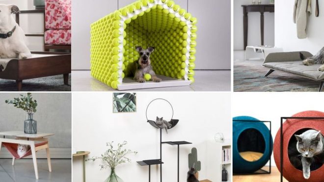 Modern Pet Furniture For Discerning Dogs, Cats And Their Owners