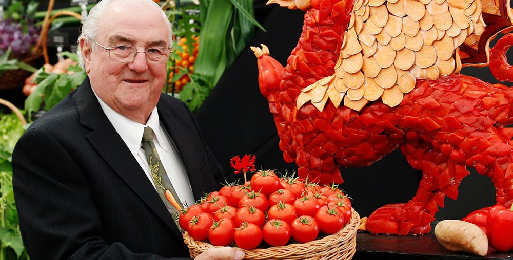 RHS Chelsea Flower Show 2020: Tips for growing vegetables