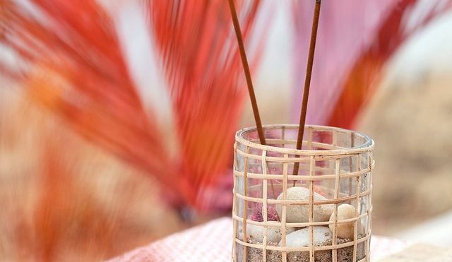 EVERYTHING You Need to Combat a Mosquito Problem | Hunker