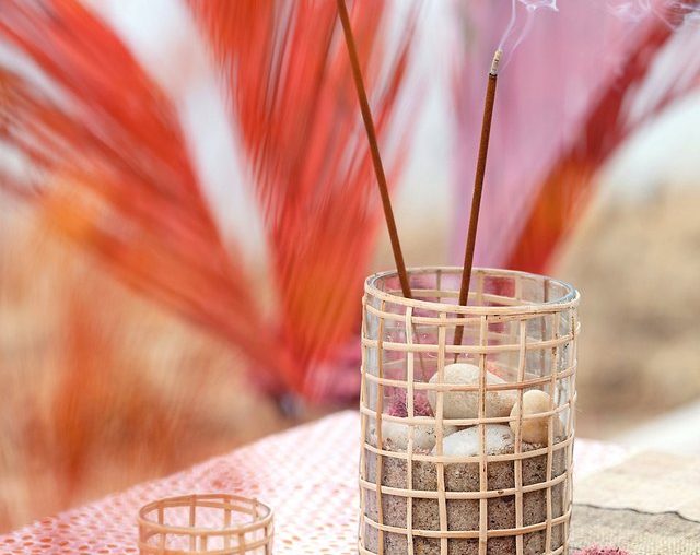 EVERYTHING You Need to Combat a Mosquito Problem | Hunker